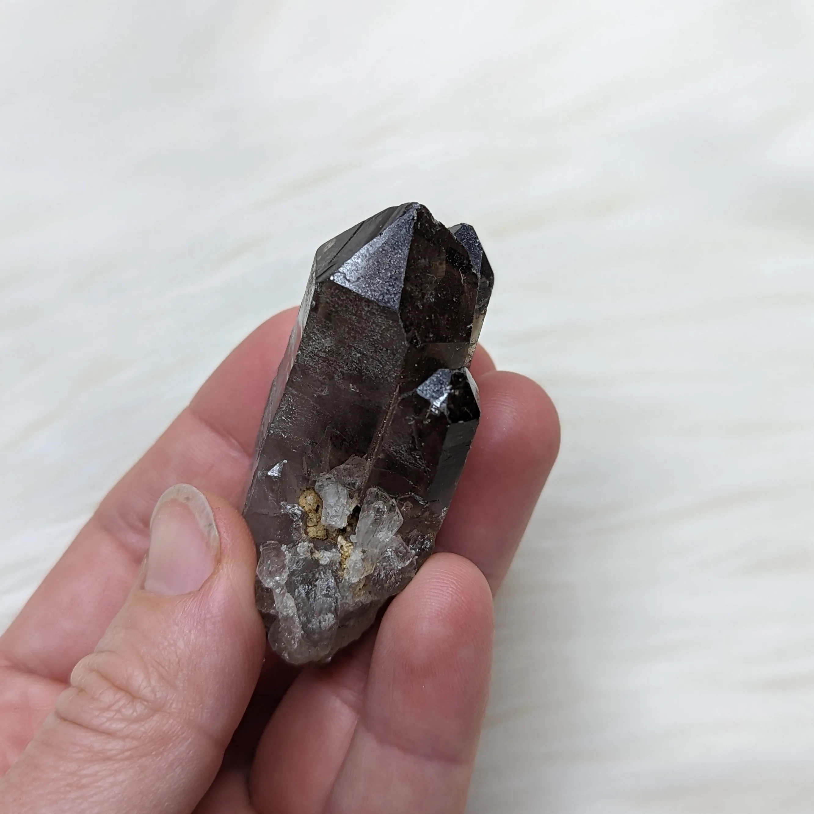 Adorable Smoky Quartz Point cluster of Three