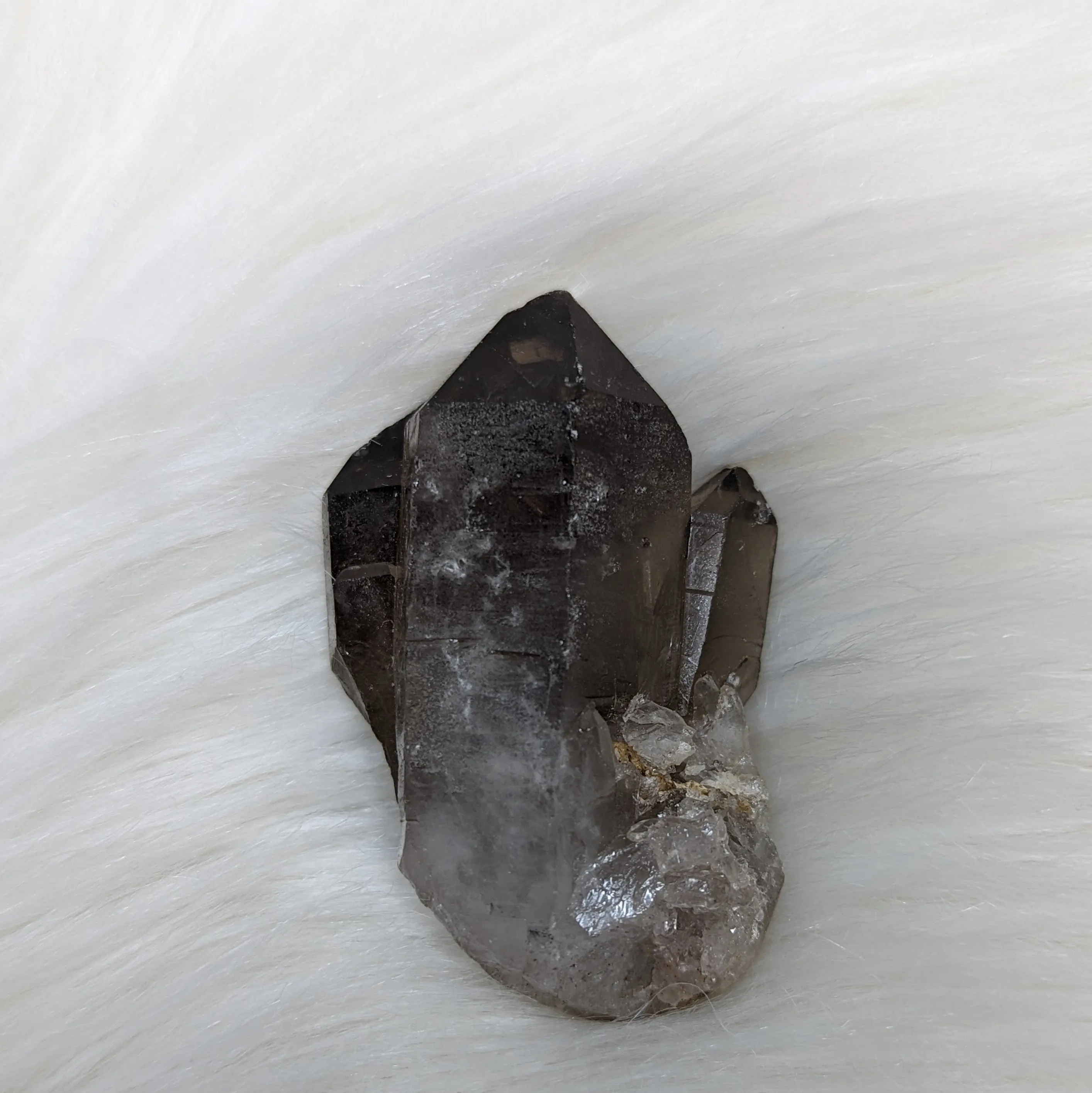 Adorable Smoky Quartz Point cluster of Three