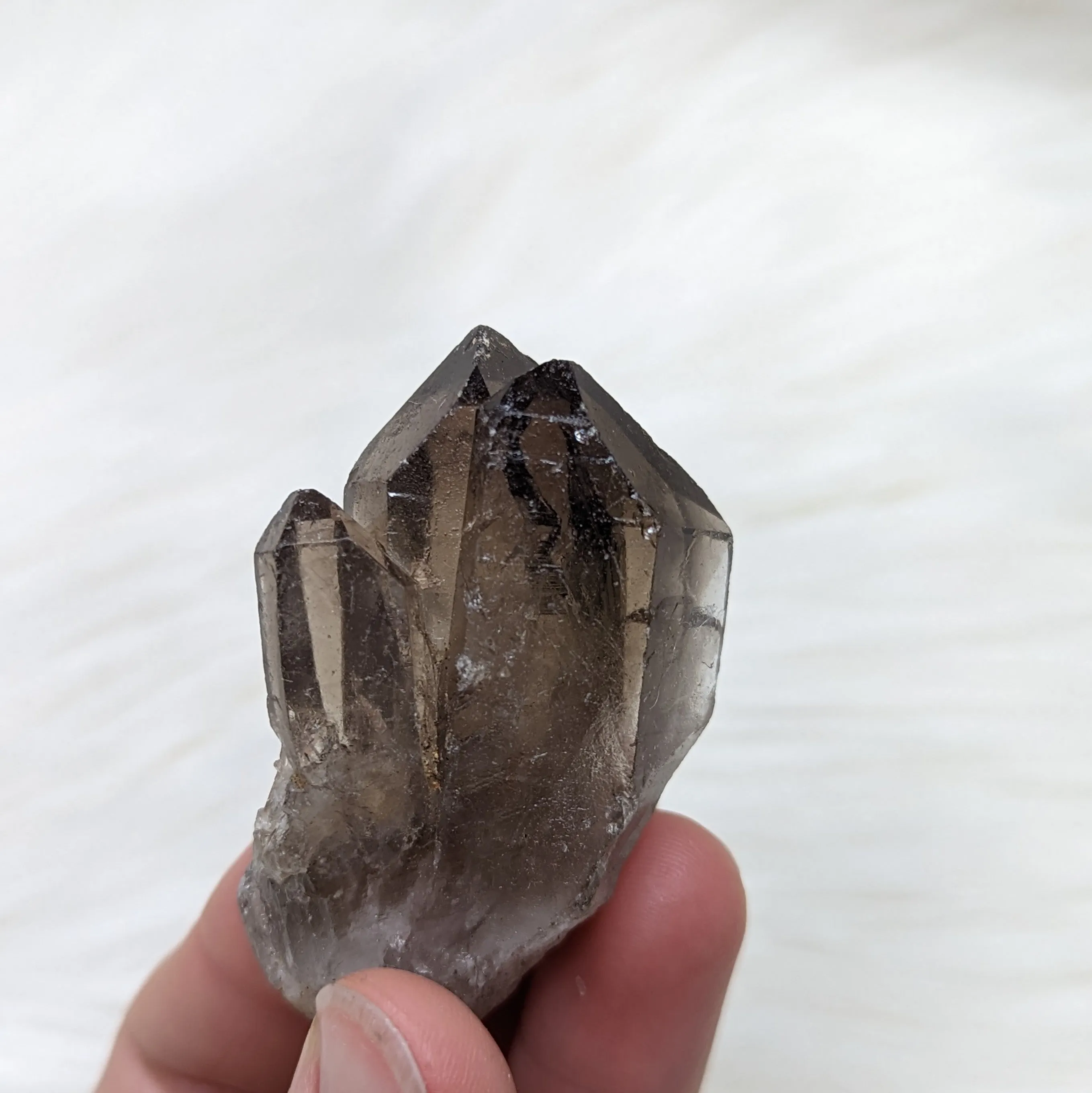 Adorable Smoky Quartz Point cluster of Three