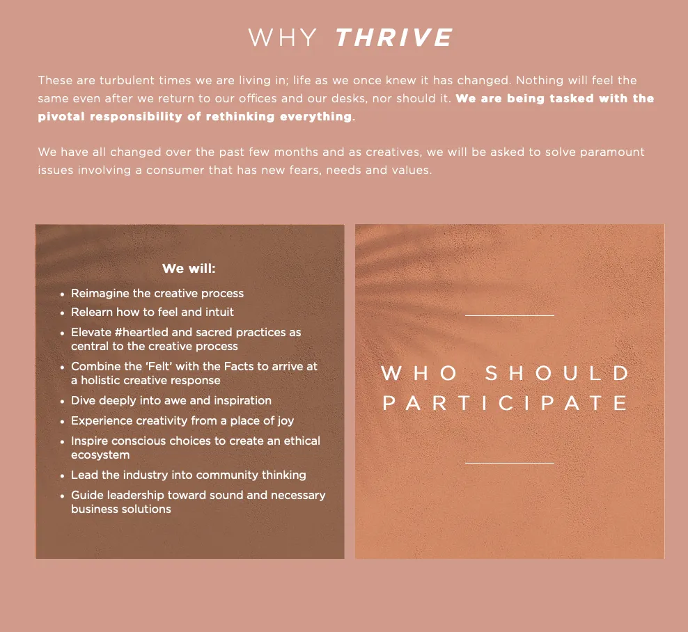 FASHION SNOOPS THRIVE PROGRAM