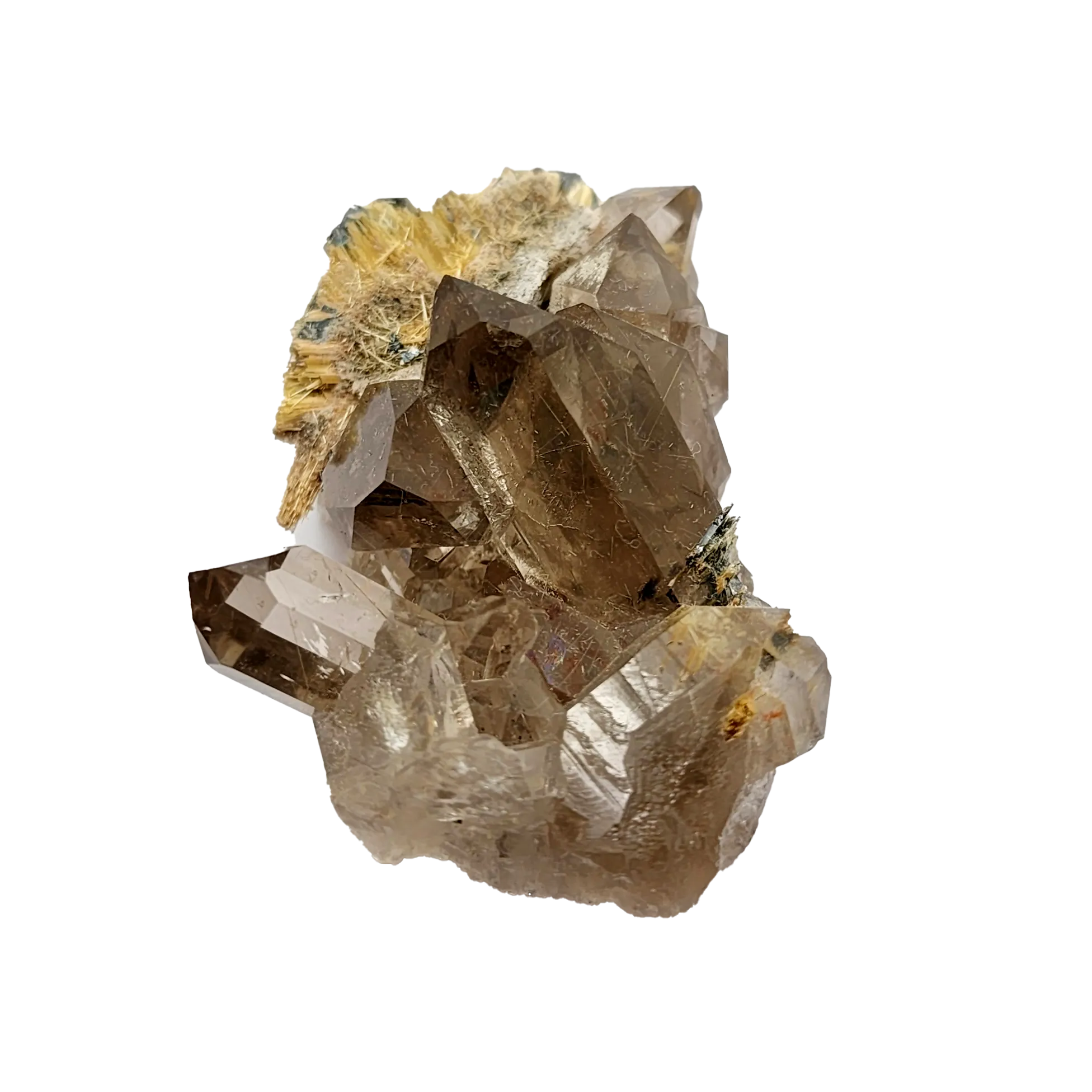 Gold Rutile Cluster #1 Smoky Rutile Cluster