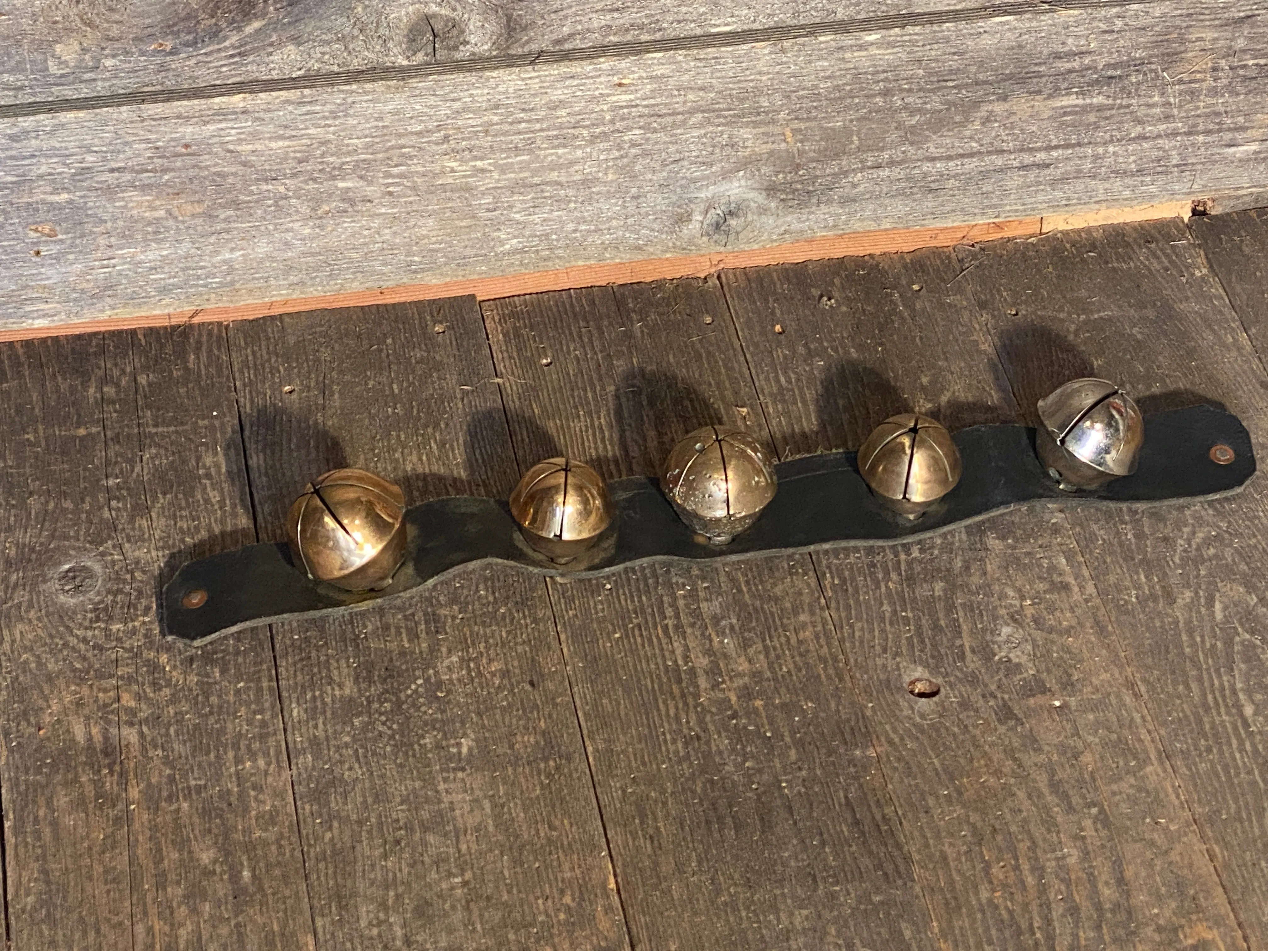 Rump Sleigh Bells on Leather Strap - 23