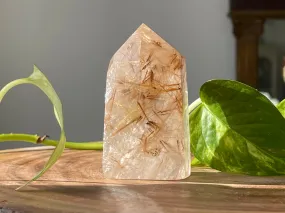 Rutilated Quartz point