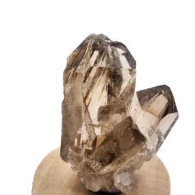 Super Clear Smoky Golden Rutilated Quartz Cluster #02