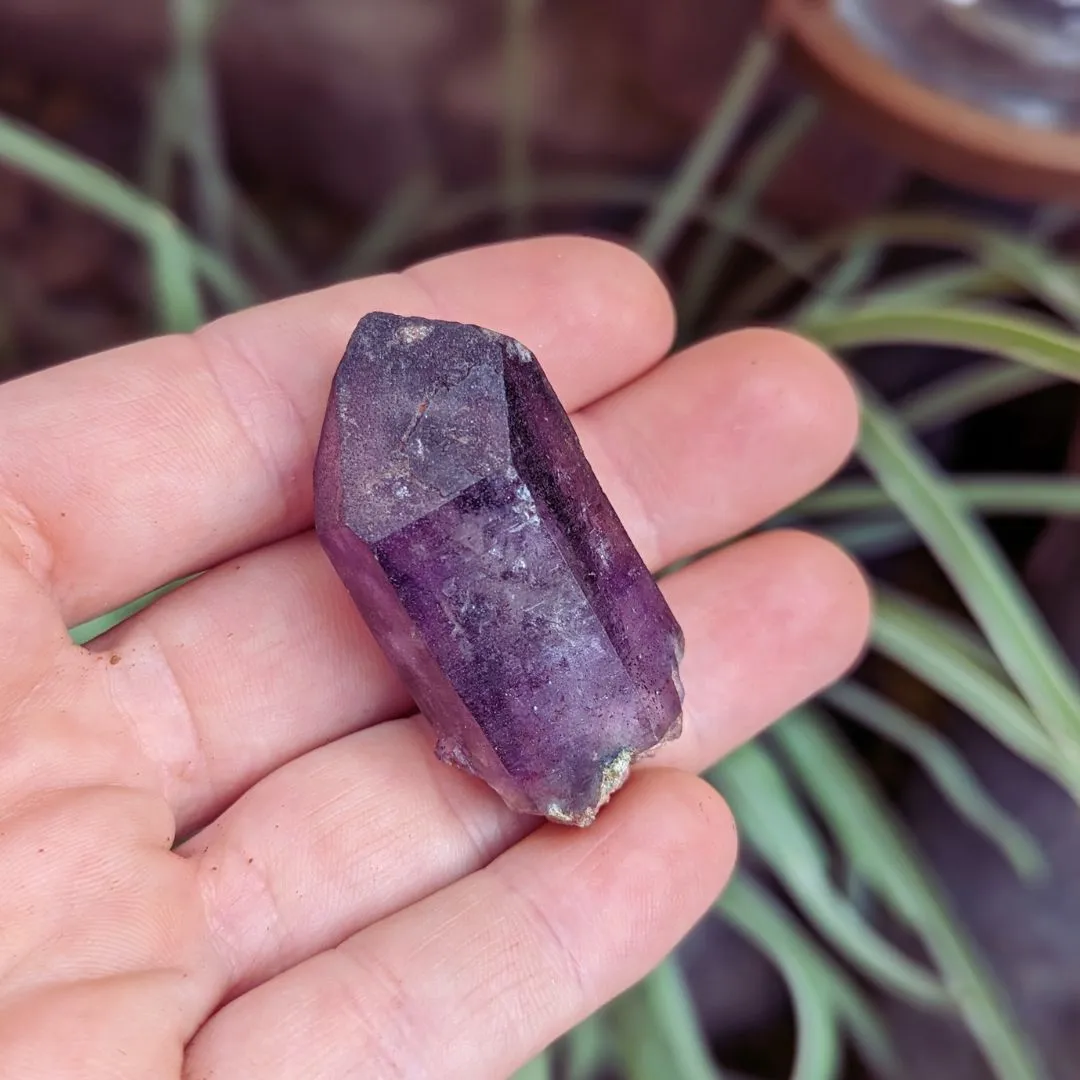 Tucson Exclusive! Rare Find, Natural  Brandberg Amethyst Crystal Points ~ Cosmic Energy that Awakens, Clear Quartz, Amethyst and Smokey Quartz in ONE, Ancient Amethyst