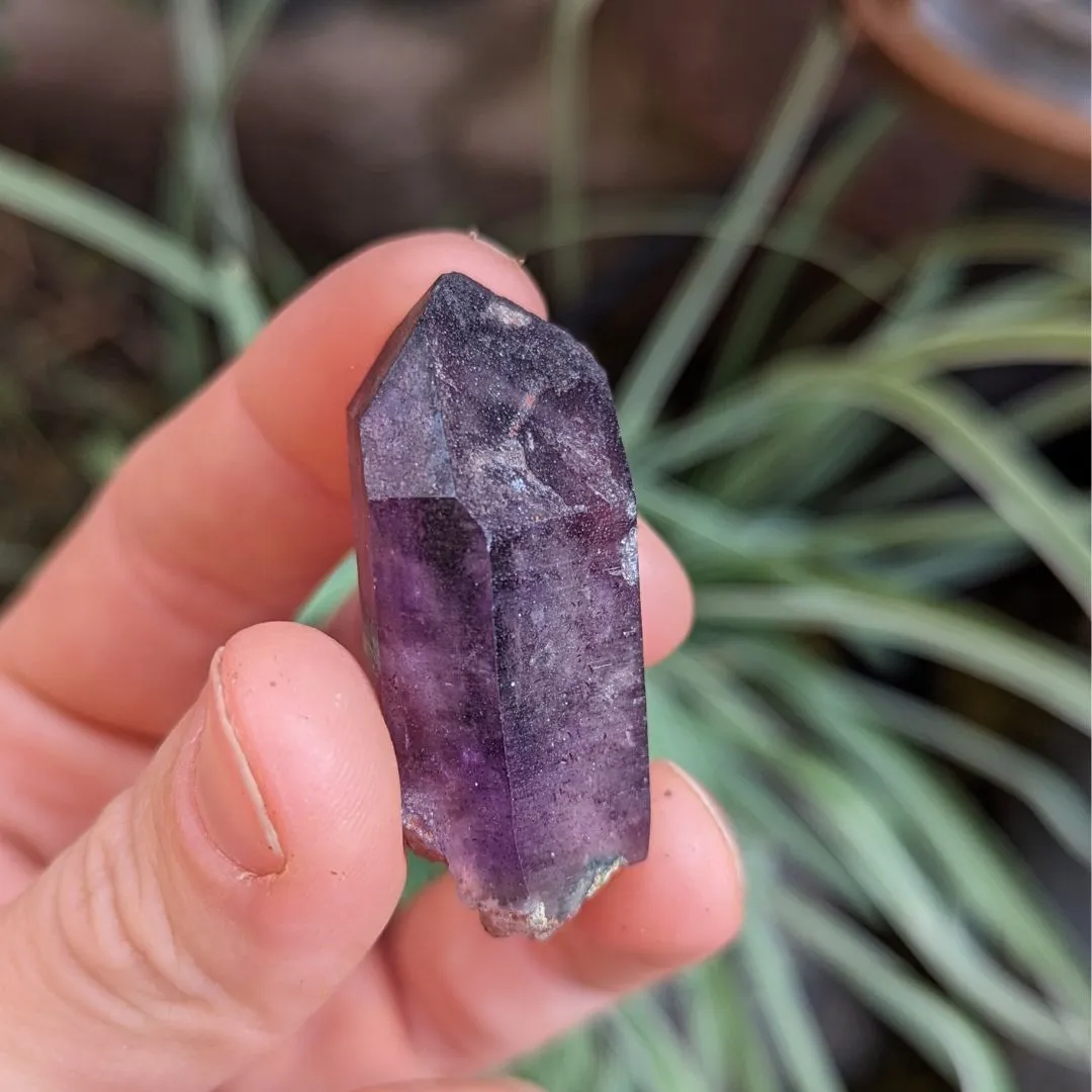 Tucson Exclusive! Rare Find, Natural  Brandberg Amethyst Crystal Points ~ Cosmic Energy that Awakens, Clear Quartz, Amethyst and Smokey Quartz in ONE, Ancient Amethyst